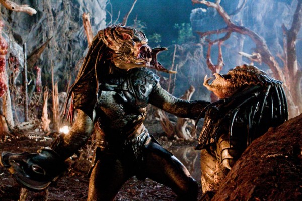 predatorsnew (17)
